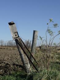 Birdhouse, flop.